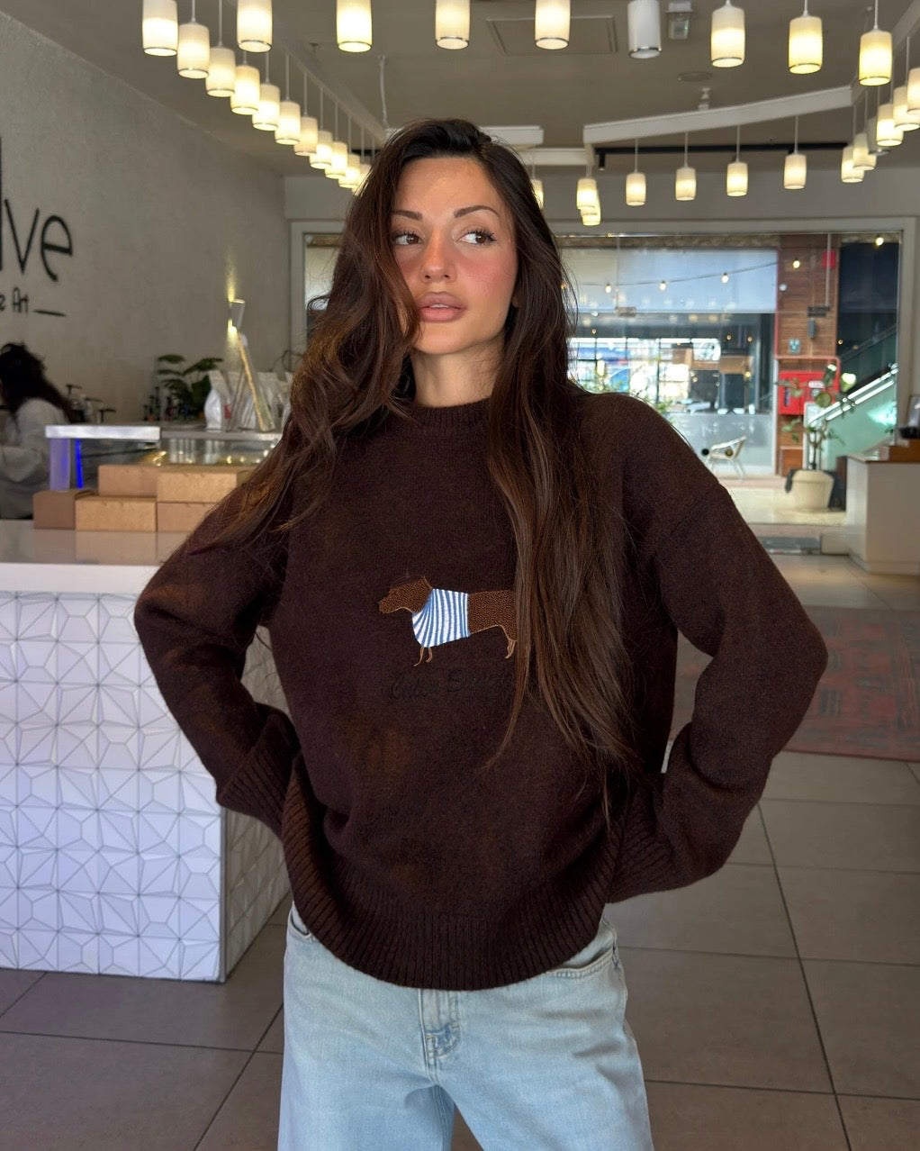 Brown Sweater