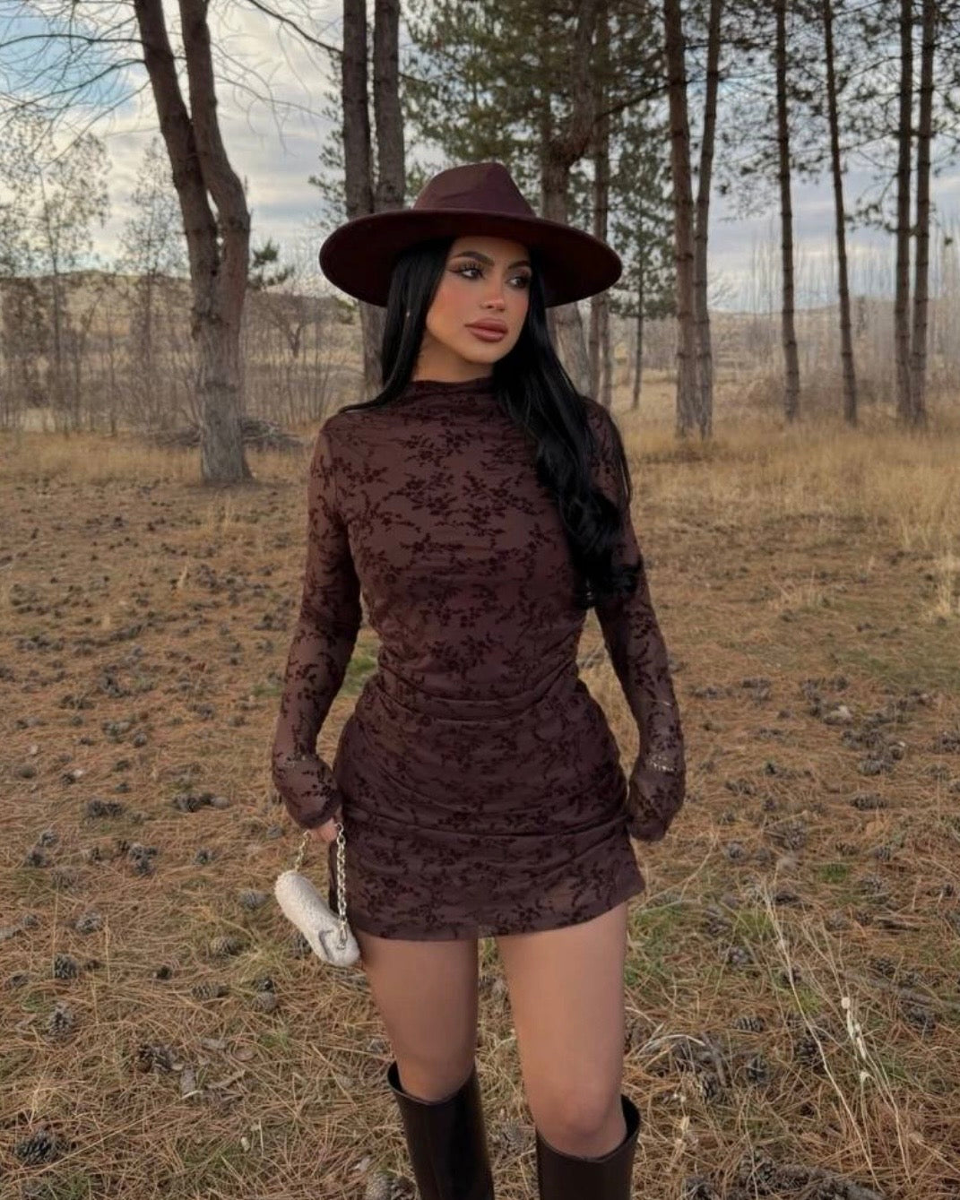 Brown Chiffon Dress