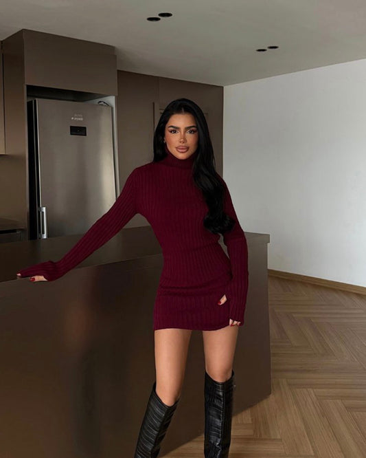 Burgundy Basic Dress