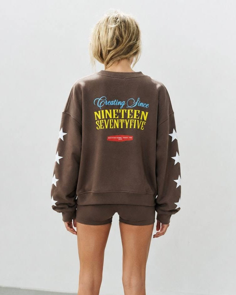Brown Texas Sweatshirt